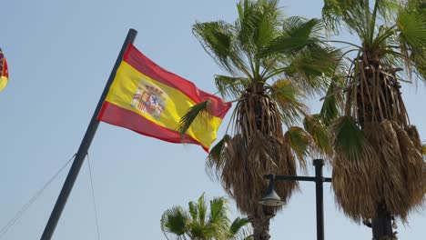 Big-National-Spain-flag-and-Palm-trees-in-a-wind,-sunny-summer