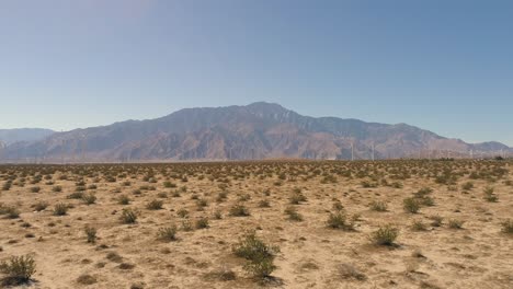 Drone-De-Palm-Springs-De-Molinos-De-Viento-En-El-Paso-De-Las-Montañas-Con-Desierto-Y-Cactus-En-Primer-Plano-Bajo-A-Tierra