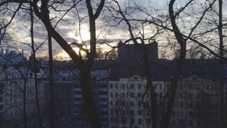 Handheld-pan-over-Stockholm-skyline,-evening-silhouette,-trees-in-foreground