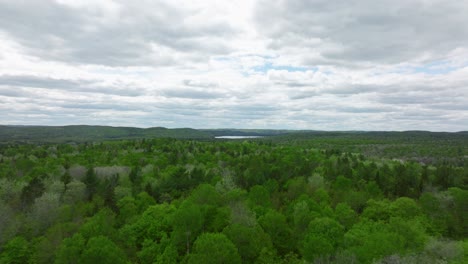 Algonquin-provincial-park,-drone-flies-over-the-trees