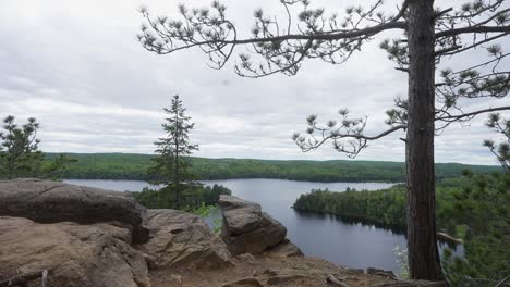 Whitefish-lake-in-Algonquin-provincial-park,-in-Mai