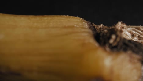 Peel-and-fibrous-hairs-emerging-from-ripe-banana's-tip