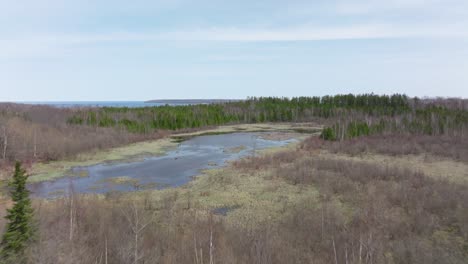 Bruce-peninsula-cliffs,-Ontario,-Canada-in-early-spring-and-lake-Huron,-Drone-flying-above-the-swamp-and-trees