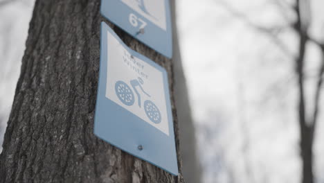 Winter-cycling-path-sign-on-a-tree
