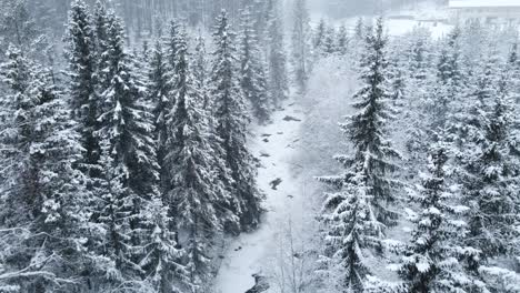 Ein-Flug-über-Einen-Zugefrorenen-Fluss,-Eingebettet-Zwischen-Majestätischen-Kiefern-Bei-Starkem-Schneefall