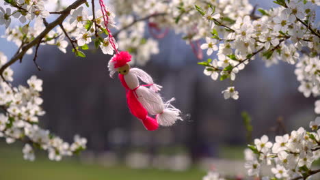 a-blossoming-tree-with-white-flowers-and-a-martenitsa-hanging
