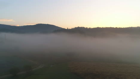 Am-Frühen-Morgen-über-Ein-Hügeliges-Nebelfeld-Fliegen