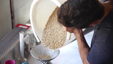 Medium-close-up-shot-of-man-pouring-barley-onto-scale-for-weighing