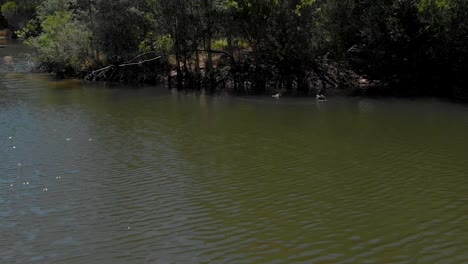 Shoreland-panning,-lake-in-Australia