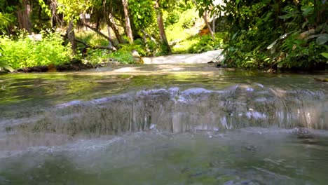 Agua-Clara-Que-Fluye-De-La-Cascada-En-El-Bosque-Verde