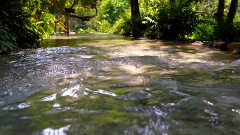 Klares-Wasser,-Das-Vom-Wasserfall-Im-Grünen-Wald-Fließt
