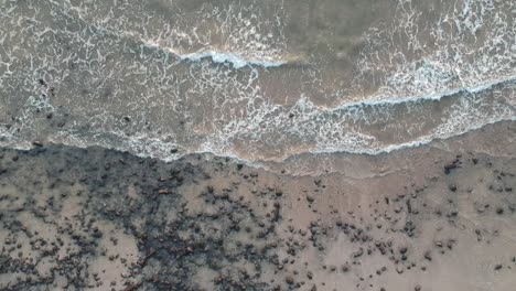 Aerial-footage-of-beach,-India-|-Travel-|-Sunset-|-Water-|-Sea-|-Arabian-Sea-|-Summer-in-India