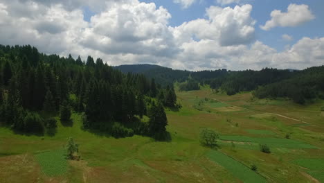 Aerial-shot,-beautiful-green-meadow-with-surrounding-pines-and-hollows