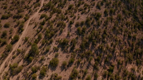 Panorámica-Aérea-De-Jeep-Trail-En-El-Desierto-Alto-De-Arizona