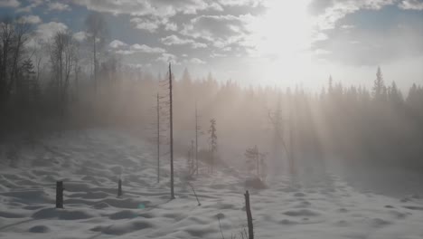 mystical-winter-morning
