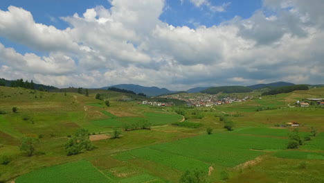 Green-arable-land-near-a-small-village