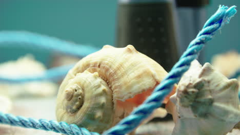 Close-up-video-of-sea-shells-and-blue-rope,-surrounded-by-beach-sand,-on-a-turntable-display-with-binoculars-in-the-background