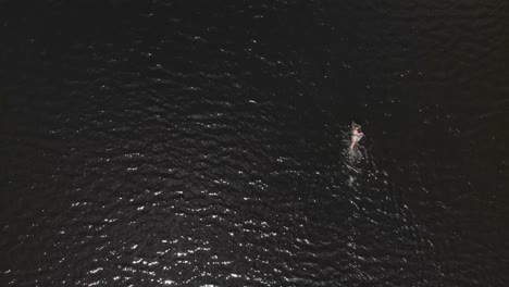 Mujeres-Nadando-En-Un-Lago-Oscuro-En-Verano-Desde-Una-Vista-De-Ariel