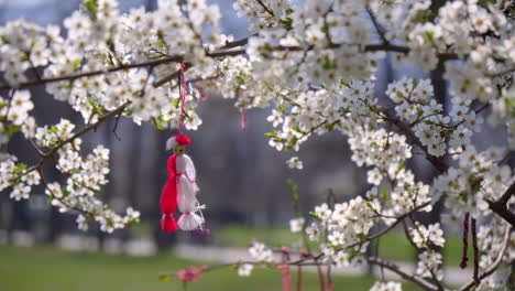a-blossoming-tree-with-white-flowers-and-a-martenitsa-hanging