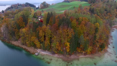 Aerial-Drone-Shot-of-a-colorful-Forest-next-to-a-Lake-in-Austria,-4k-UHD
