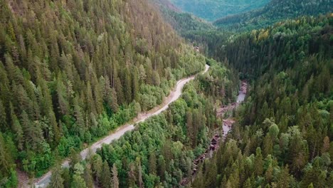 Tilt-up-reveal-aerial-shot-in-a-forest-over-a-river-next-to-a-winding-road