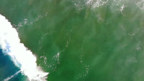 Overhead-aerial-4k-drone-of-surfer-in-waves-wiping-out-at-Huntington-Beach,-Pacific-Ocean,-California