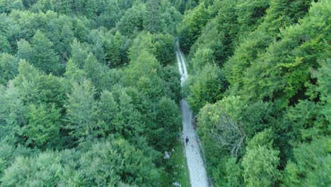 Drone-Shot-of-a-Person-walking-along-a-Forest-Path-on-a-Mountain,-4k-UHD
