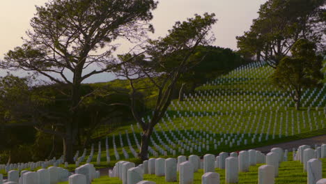 Miles-De-Lápidas-En-El-Cementerio-Militar-Rosecrans-En-San-Diego,-California