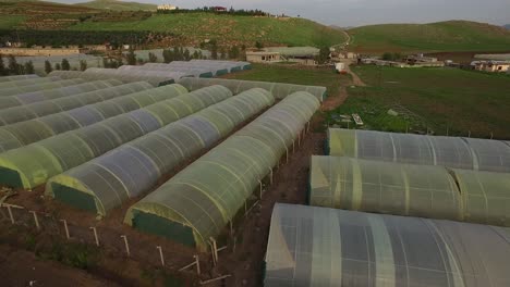 Landwirtschaft-In-Gewächshäusern-Und-Tröpfchenbewässerung