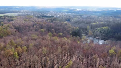 Amber-Mountain-Sanctuary-In-Lublewo-Gdańskie,-Polen