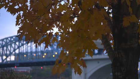 Herbstblätter-Wehen-Im-Wind-Vor-Einer-Stadtbrücke