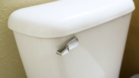Man-Closing-Toilet-Lid-then-Flushing---Close-Side