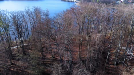 Otomin-See-Und-Wald-Erschossen