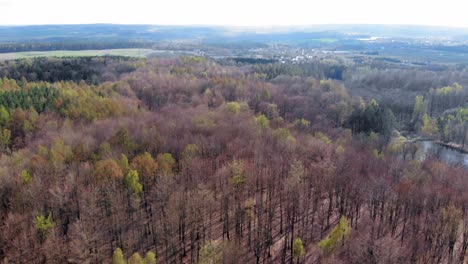 Amber-Mountain-Sanctuary-In-Lublewo-Gdańskie,-Polen