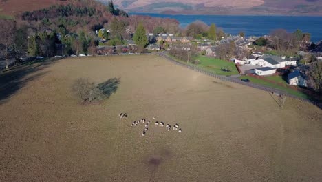 Forward-aerial-shot-of-Luss-in-the-Highlands-of-Scotland-and-in-the-background-Loch-Lomond-during-golden-hour