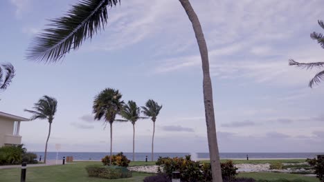 Palmen-In-Einem-Schicken-Mexikanischen-Resort