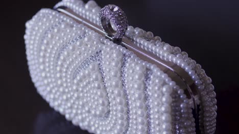 A-Pouch-encrusted-with-Pearls-and-Diamonds