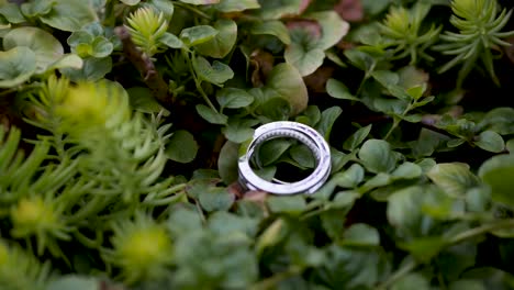 A-wedding-Ring-surrounded-by-lush-green-plants