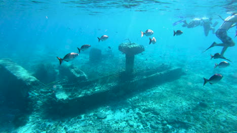 Eine-Gruppe-Von-Fischen,-Die-In-Der-Nähe-Eines-Schiffswracks-Unter-Wasser-Schwimmen-|-Riesige-Schiffsstruktur-Unter-Wasser-Im-Tiefblauen-Meer-In-Der-Karibik