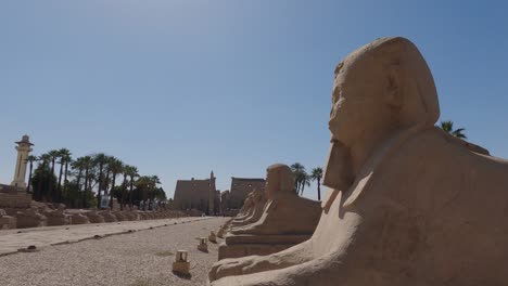 Avenue-of-Sphinxes-known-as-Rams-Road-with-sphinxes-and-ram-headed-statues-lined-up-on-both-flanks