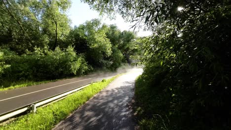 steady-shot-of-steaming-road-after-the-rain-in-the-forest-in-sunny-summers-day