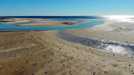 Aerial-View-over-Beach-in-Portugal-3