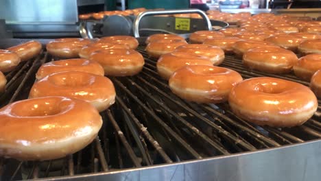 A-low-shot-of-hundreds-of-freshly-baked-and-glazed-ring-doughnuts-on-a-conveyor-belt