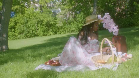 Black-Woman-pouring-drinking-tea-in-a-park-picnic-blankets-static