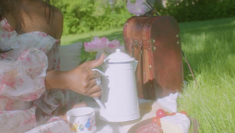 Black-Woman-pouring-tea-in-park-picnic-blanket-close-up