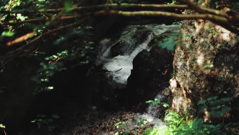 Nahaufnahme-Eines-Kleinen-Wasserfalls-In-Einem-Wald-Mit-Moos-Und-Gras-Und-Einem-Darüber-Liegenden-Baum