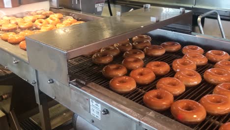 Warm-and-freshly-baked-donuts-passing-through-a-wall-of-sugar-glaze-and-being-dried-on-a-conveyor-belt