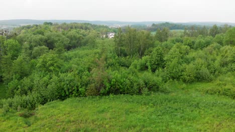 Vuelo-Sobre-Pradera-Verde-En-Kolbudy-En-El-Distrito-De-Pomeranian