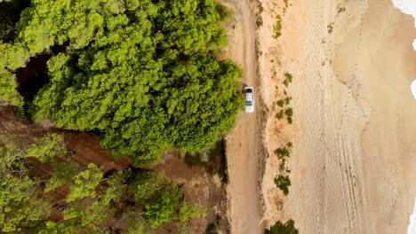 Top-view-of-car-going-through-sandy-trail-by-the-beach