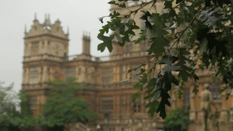 Oak-leaves-blowing-in-the-wind-at-historic-Wollaton-Hall-in-Nottingham